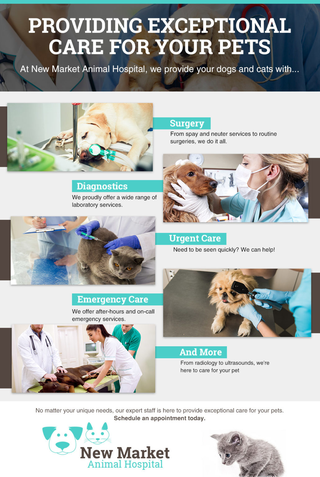 animal-hospital-near-me-find-out-who-s-taking-care-of-your-pet-new