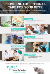 Animal Hospital Near Me - Find Out Who's Taking Care of Your Pet! | New