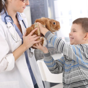 vet passing a bunny to a child