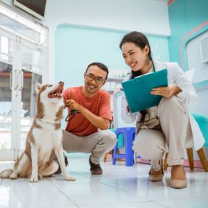 A vet kneeled over taking notes while checking on a dog