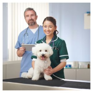 Vets with a happy poodle