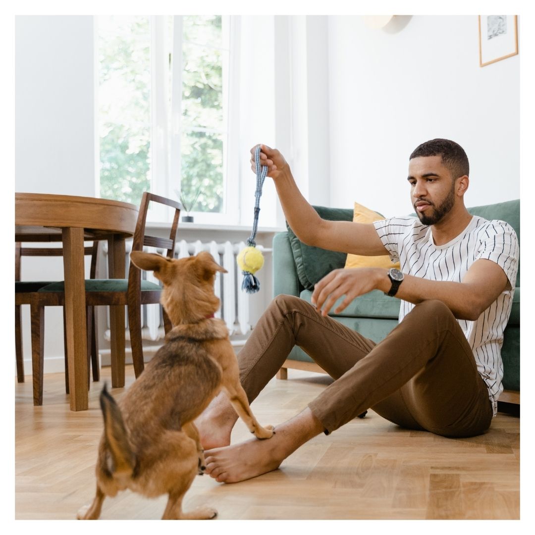 a man playing with his dog