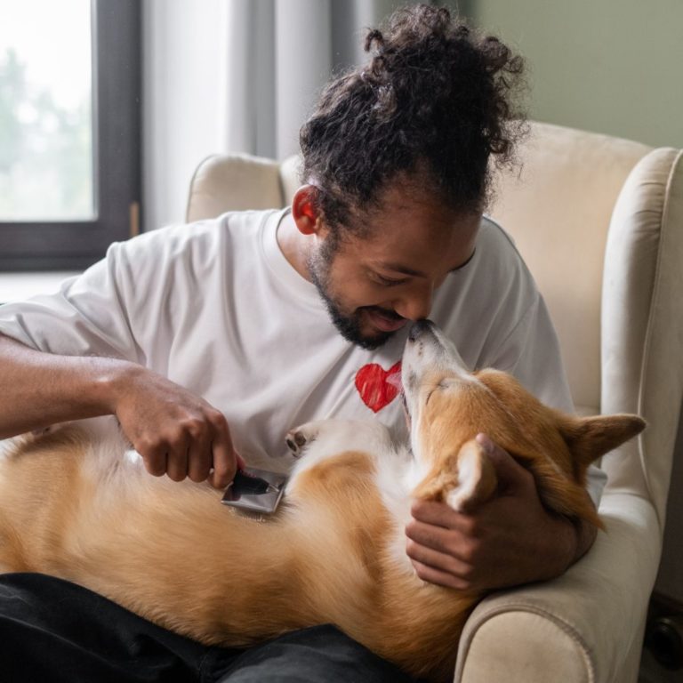 owner grooming dog